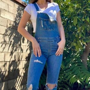 RSQ denim distressed overalls